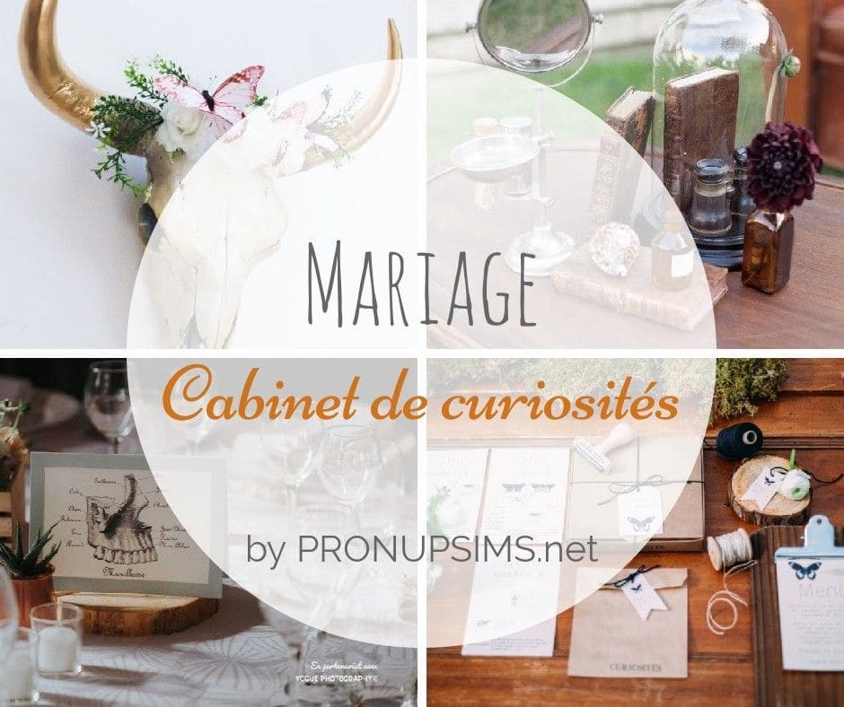 thème mariage cabinet de curiosités inspiration shopping