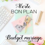 Alerte Bon Plan Budget Mariage