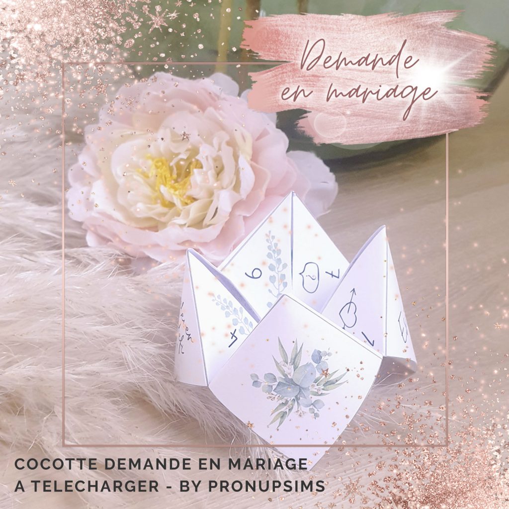 cocotte demande en mariage originale pronupsims